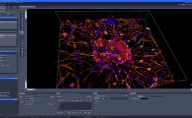 Zeiss und Arivis vertiefen strategische Partnerschaft