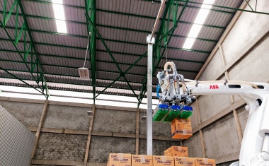 Automatisierte Depalletierung mit integrierter 3D-Bildverarbeitung