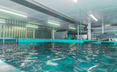 Das Meer im Container