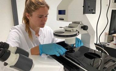 Detecting bacterial infestation fast, contactless and free of markers