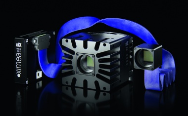 Cameras with Detached Sensor Head