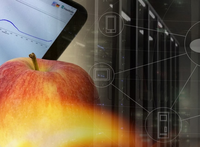 Spectral Imaging eignet sich zum Beispiel zur Erkennung des Reifegrads von Obst