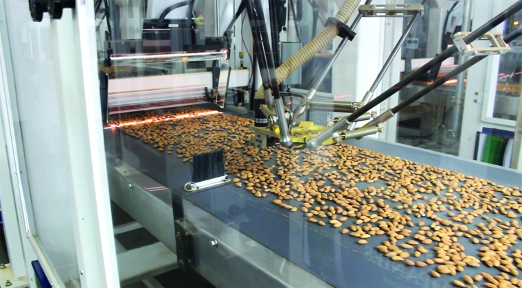 Roboter-Sortierline für Mandeln. Bild: Polytec