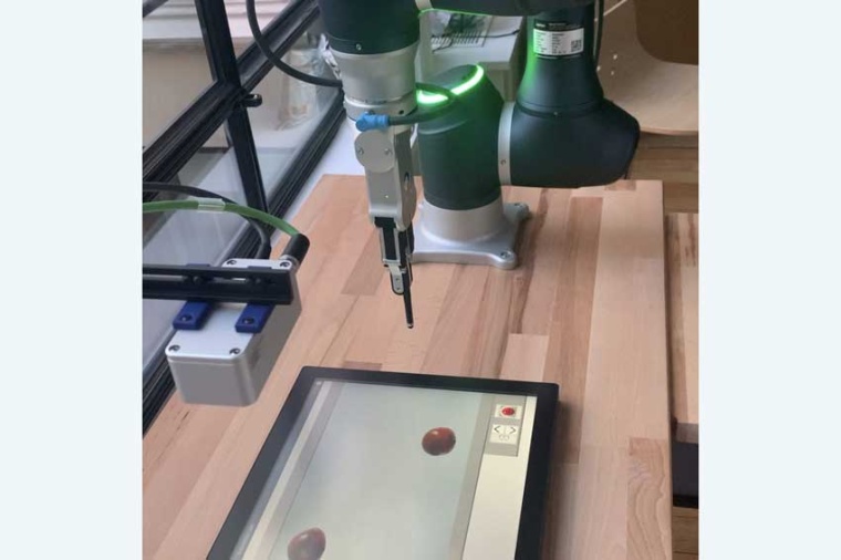 Live-Ready AI conveyor belt sorting with a Framos D435e industrial depth camera...