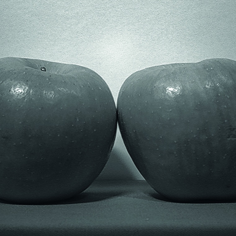 Qualitätskontrolle bei Obst mit sichtbarem Licht. (Bild: Sony Semiconductor...