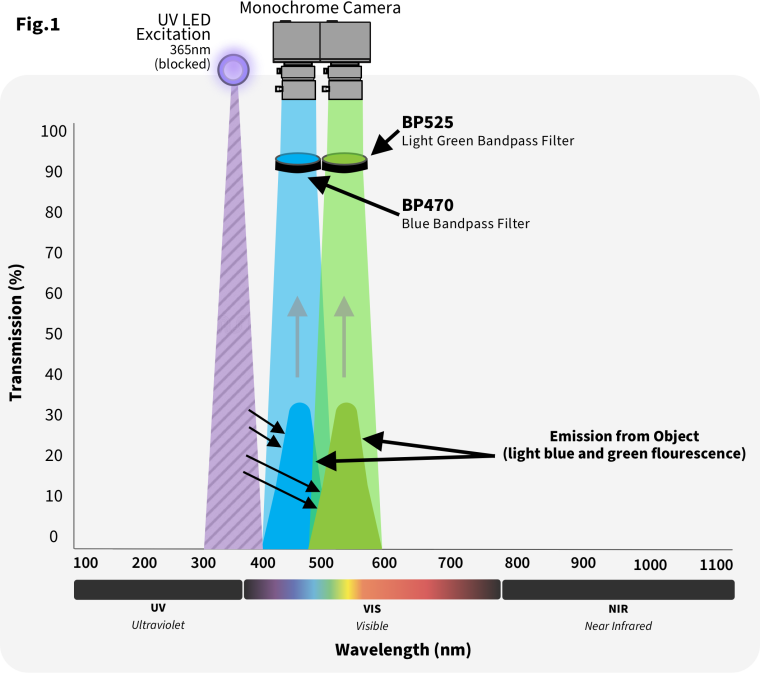 In Verbindung mit UV-LED-Beleuchtung verhilft der BP470-Blau-Bandpassfilter den...