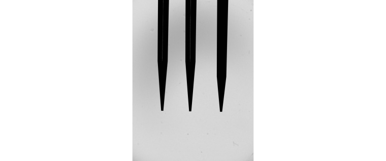 Die im Spritzguss hergestellten Pipetten­spitzen müssen hohe...