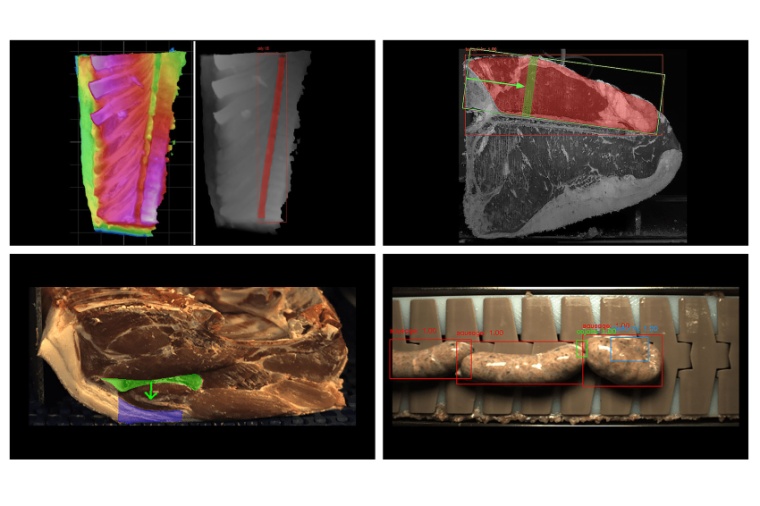Ein auf Deep Learning ­basierendes Inspektionssystem erkennt auch auf Fleisch-...