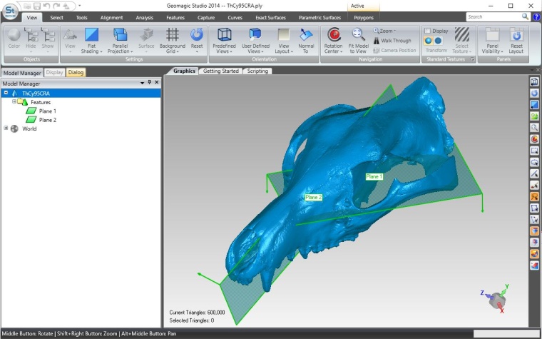 Screenshot der Software Geomagic Studio, der die Neuausrichtung und Ausrichtung...