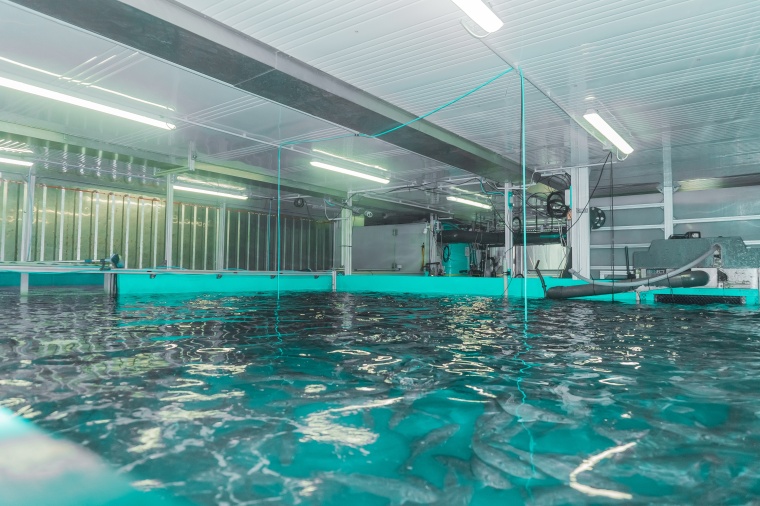 Mit einem innovativen Automatisierungskonzept übernimmt der Seawater Cube alle...