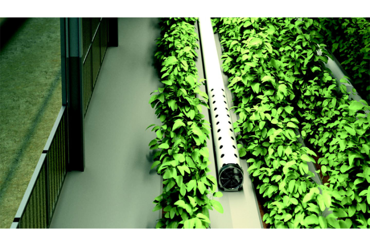 Automatisiertes Warenhandling: Mit dem Argo Drive hat EBM-Papst ein...