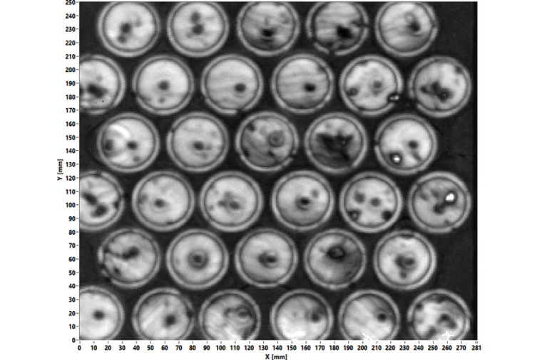 Terahertz-Abbildung der Unterbodenstruktur von Rundzellen in der...