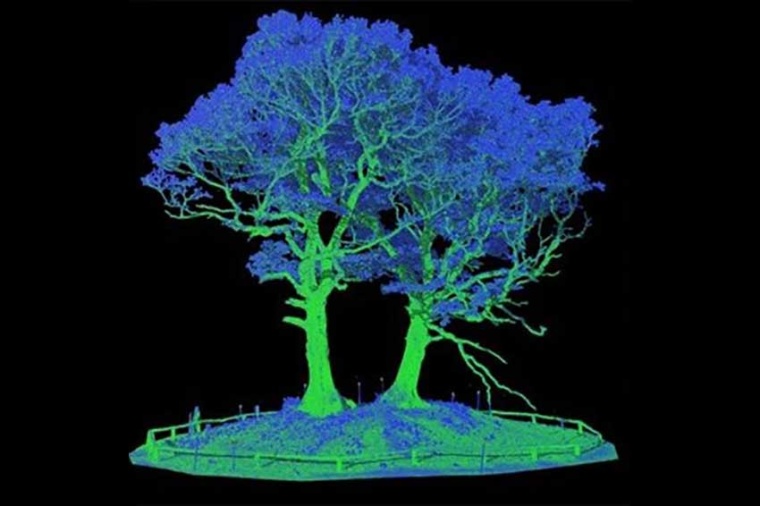 Image based on lidar data … (Source: Cambridge U.)