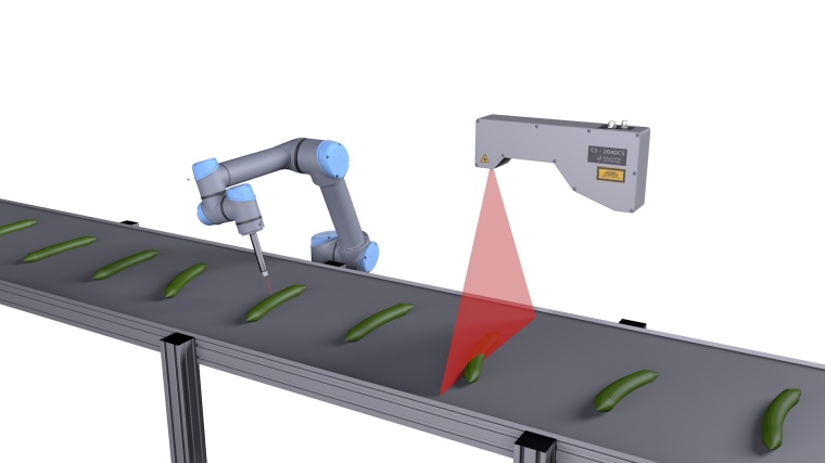 The C5-2040CS sensor from Automation Technology measures the cucumber for the...