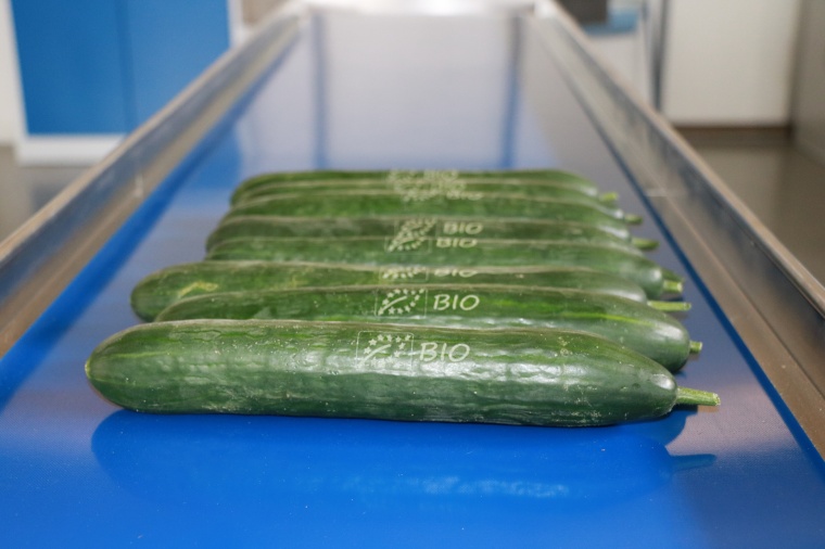 Laser marking eliminates the need for packaging. (Image: Automation Technology)