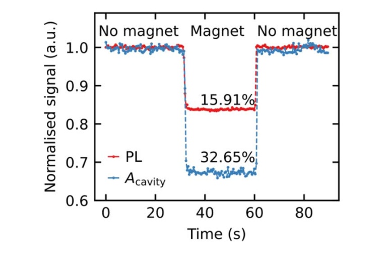 The measurement shows the contrast record of almost 33 % for stimulated...