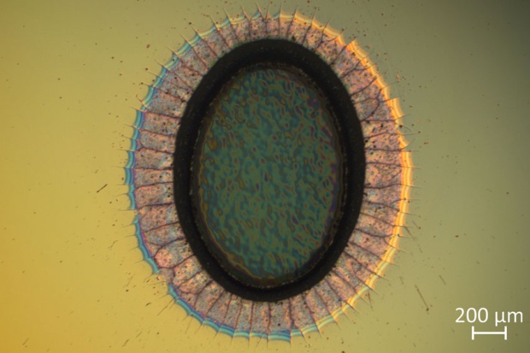 The LZH adapts together with partners procedures of destruction threshold...