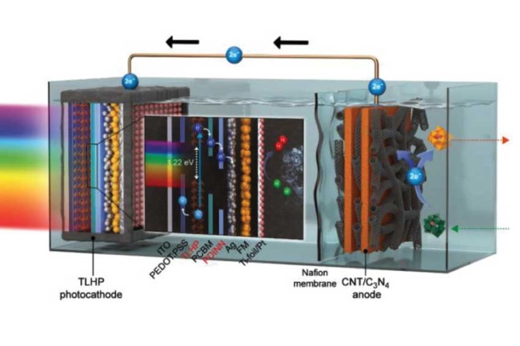 Schematic illustration of a PEC device using TLHP/PDINN photocathode and...