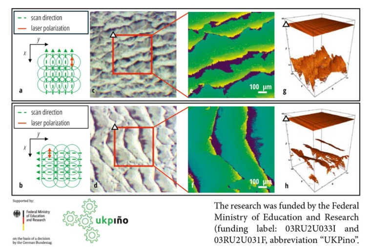Influence of an aligned (a, c, e, g) and perpendicular (b, d, f, h) scan...