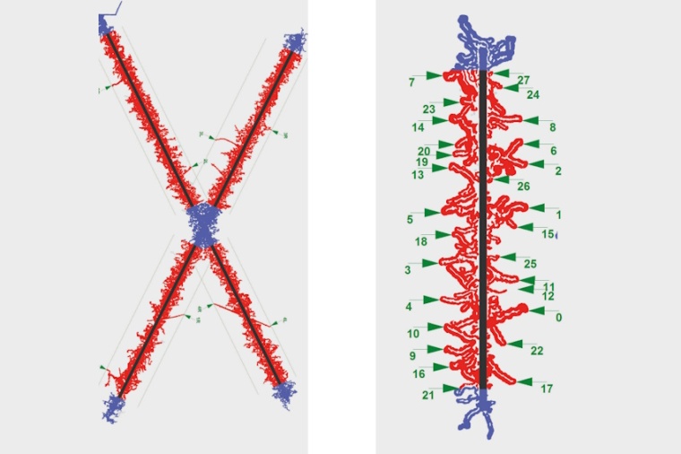 Automated evaluation of filiform corrosion on different scribe patterns. The...