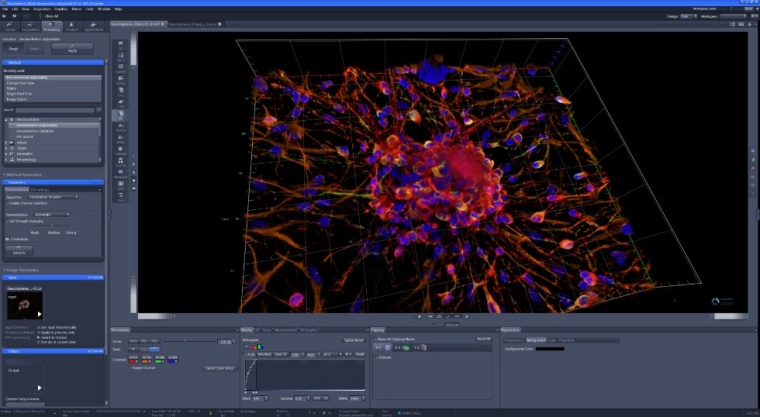 Zeiss und Arivis vertiefen strategische Partnerschaft