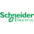 Schneider Electric erhält Preis für profitablen Umweltschutz