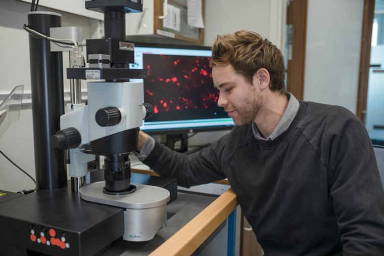 Max Hahn, doctoral student at Umeå Center for Molecular Biology, studies a...