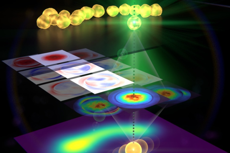 Label-free microscopy: After light interacts with a sample, the new technique...