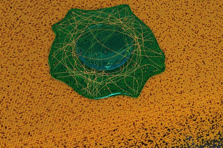 The artistic rendering illustrates cells imaging on a gold surface resolving...