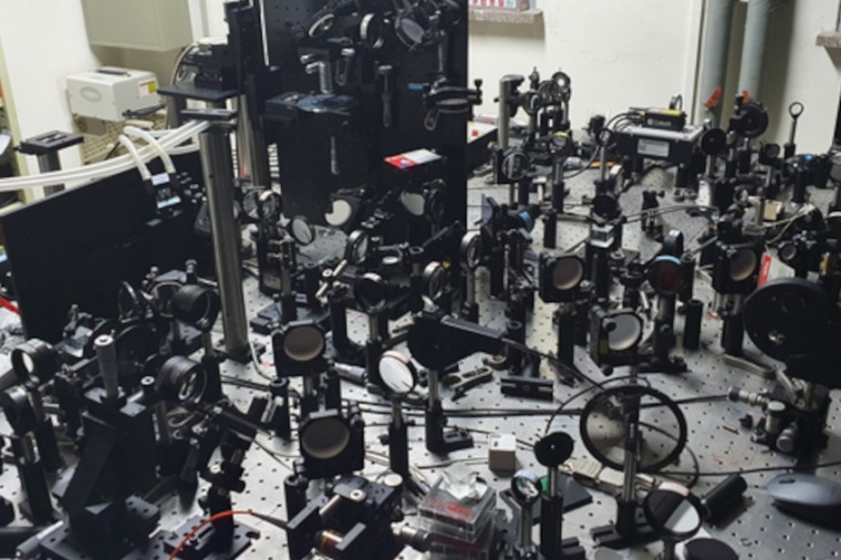 This super-depth 3D holographic microscope is able to observe the neural...