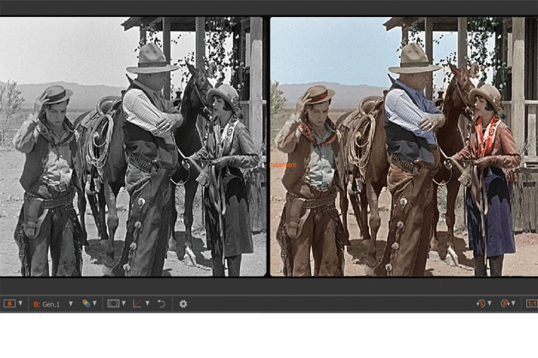 An AI-based algorithm is the basis of software for realistically coloring...