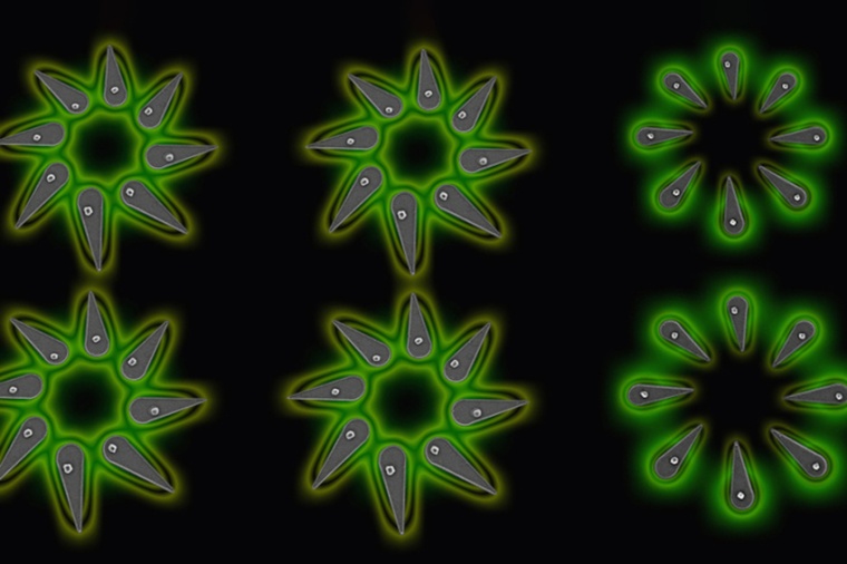 A new platform enables researchers to grow halide perovskite nanocrystals with...