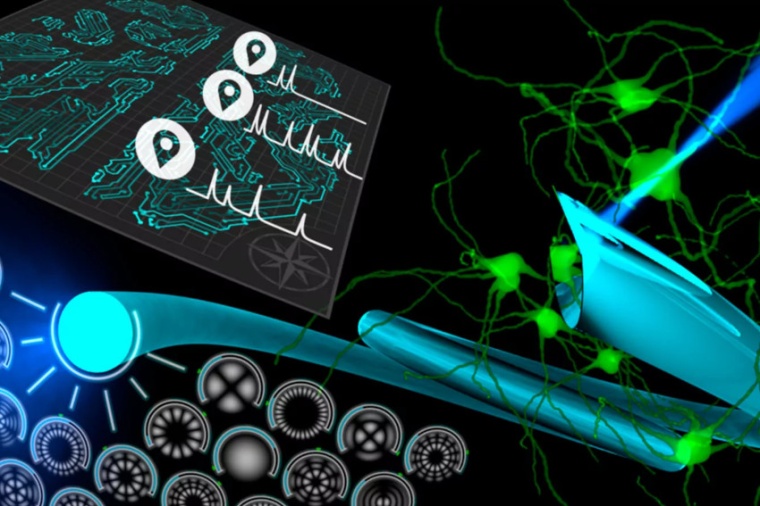 Illustration of the new fiber endoscopic concept of the researchers from Brno...