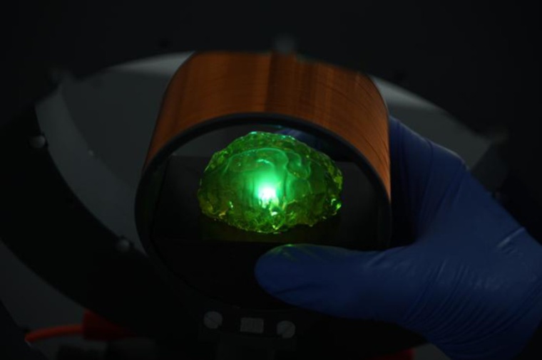 Wirelessly powered light bulb illuminating a transparent brain phantom....