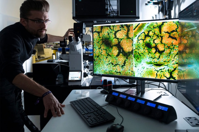 Light-based medical diagnosis (Source: L-IPHT)
