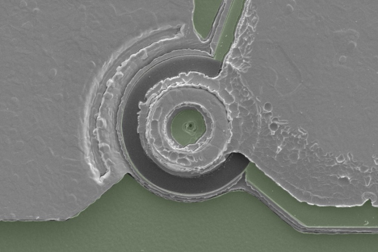 Scanning electron micrograph of the first electrically pumped continuous-wave...