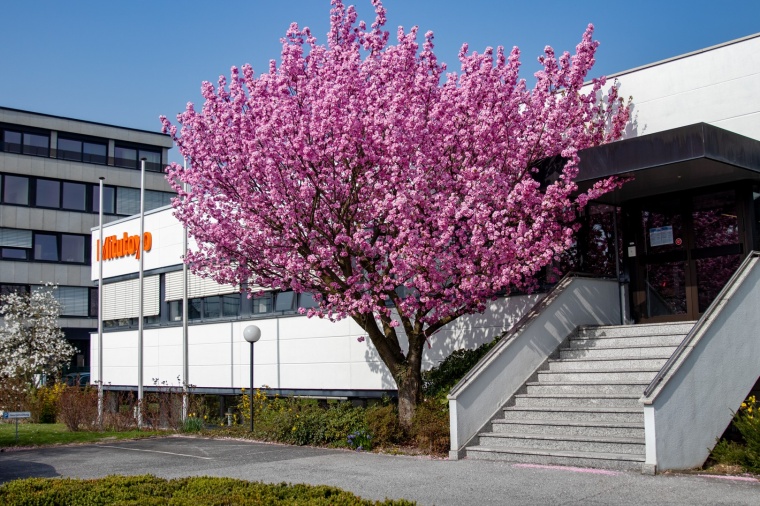 HQ in Neuss. Bild / Image: Mitutoyo