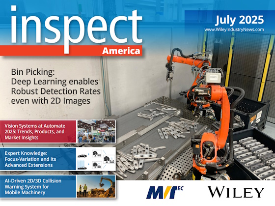 inspect